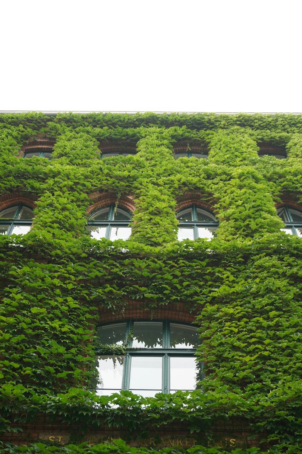 Sustainable architecture