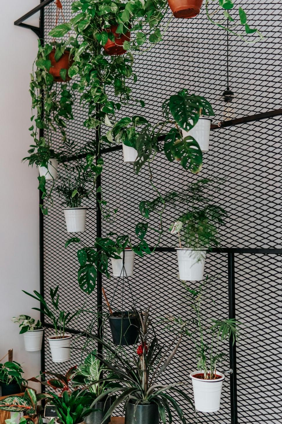Office Space